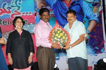 Pyaar Mein Padipoyane Audio Launch